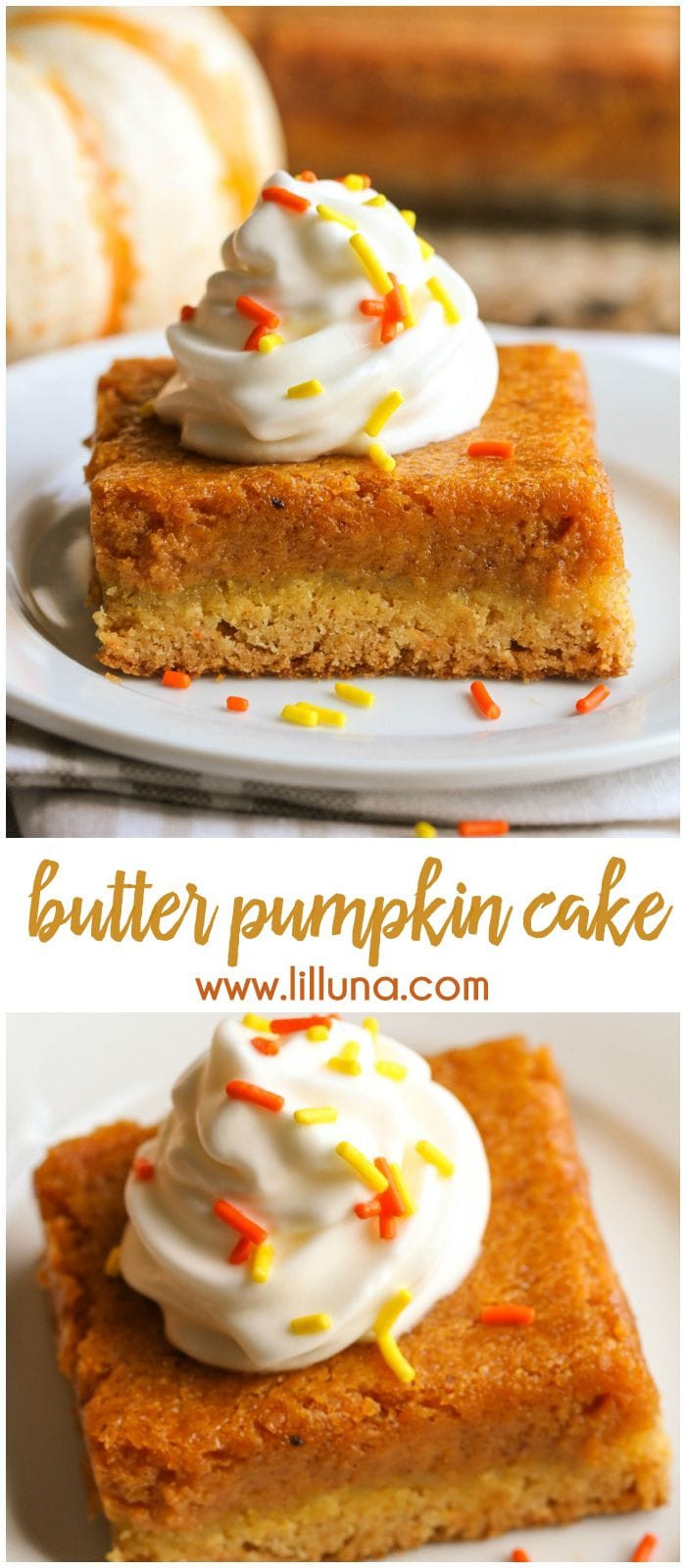 Pumpkin Gooey Butter Cake
 Easy Pumpkin Gooey Butter Cake Recipe
