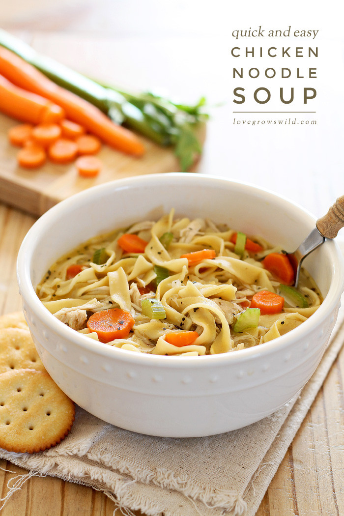 Quick Chicken Noodle Soup
 Quick and Easy Chicken Noodle Soup Love Grows Wild