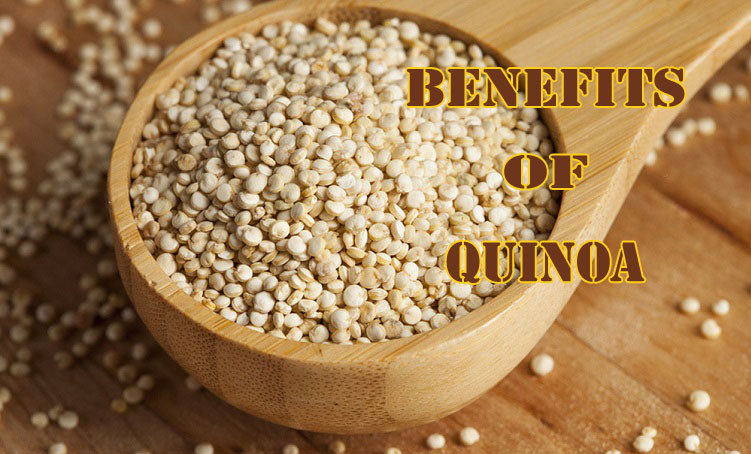 24 Best Ideas Quinoa Fiber Content - Best Recipes Ideas and Collections