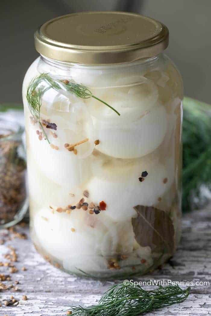 Recipe for Pickled Eggs Luxury Easy Pickled Eggs No Canning Required Spend with Pennies