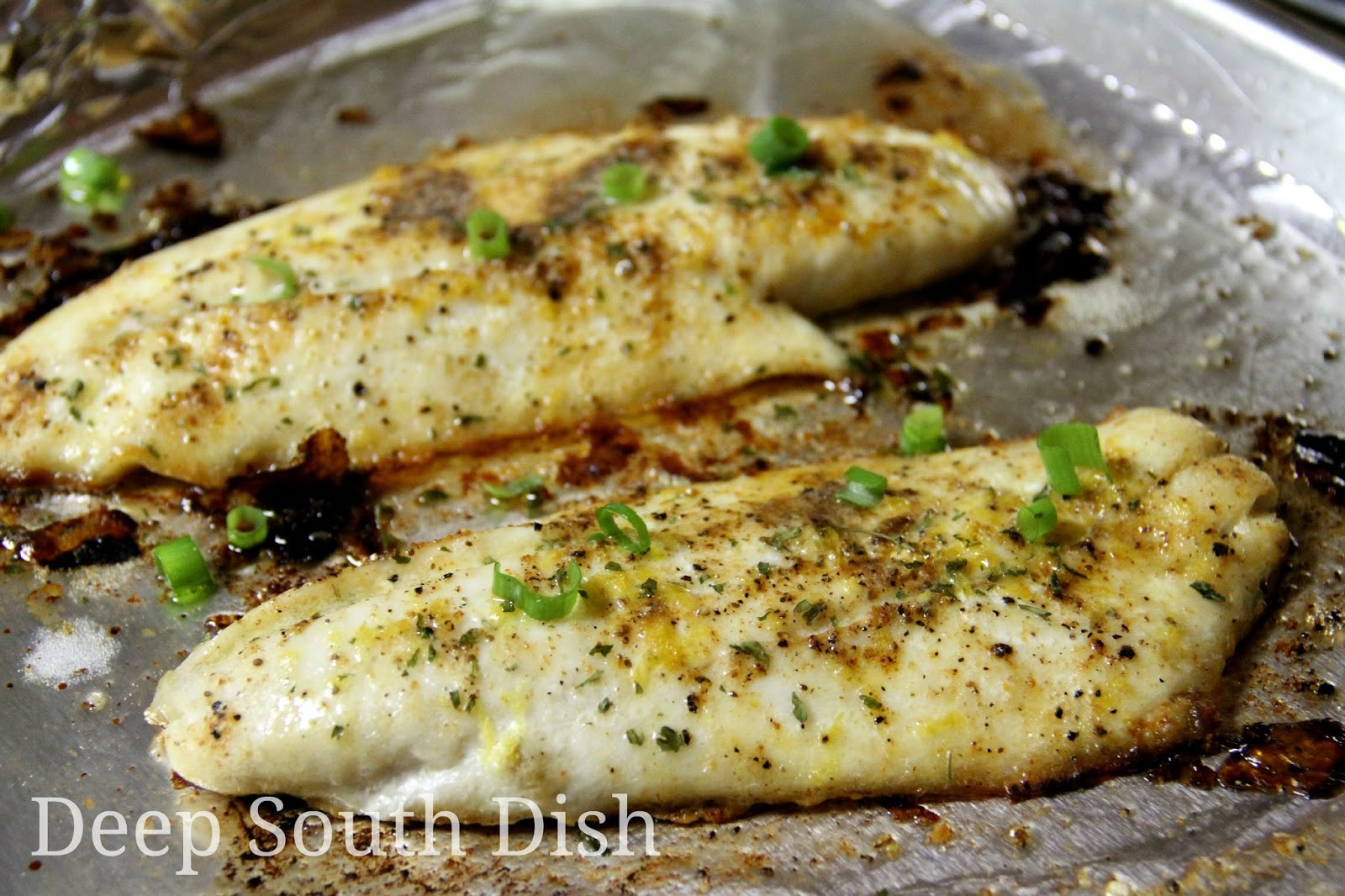 Recipes Baked Fish
 Deep South Dish Baked Fish