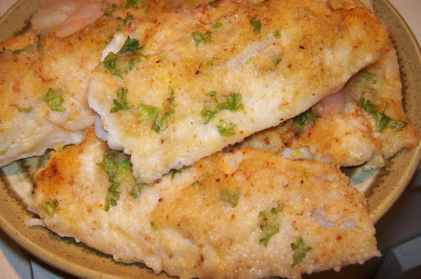 Recipes Baked Fish
 Oven Baked Fish Fillets With Parmesan Cheese Recipe Food