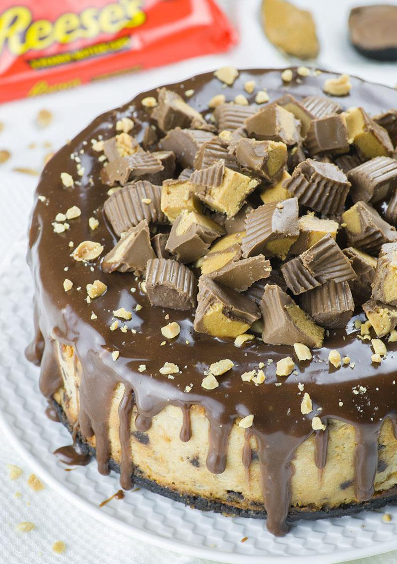 Reese Peanut butter Cheesecake Recipe Lovely Reese’s Peanut butter Cheesecake