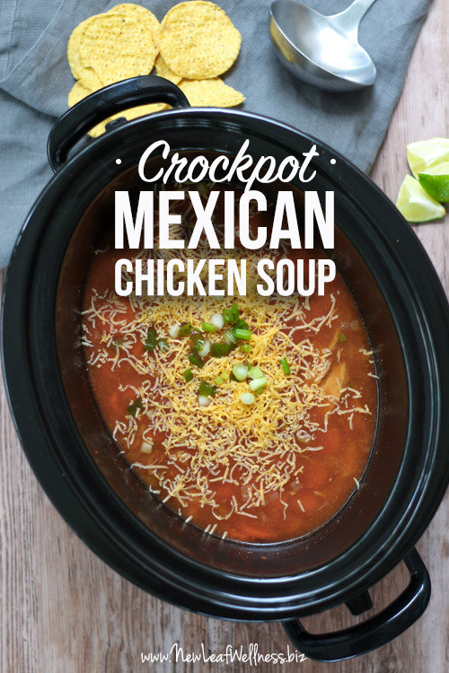 Seasonings For Chicken Soup
 Crockpot Chicken Soup with Mexican Seasonings – New Leaf