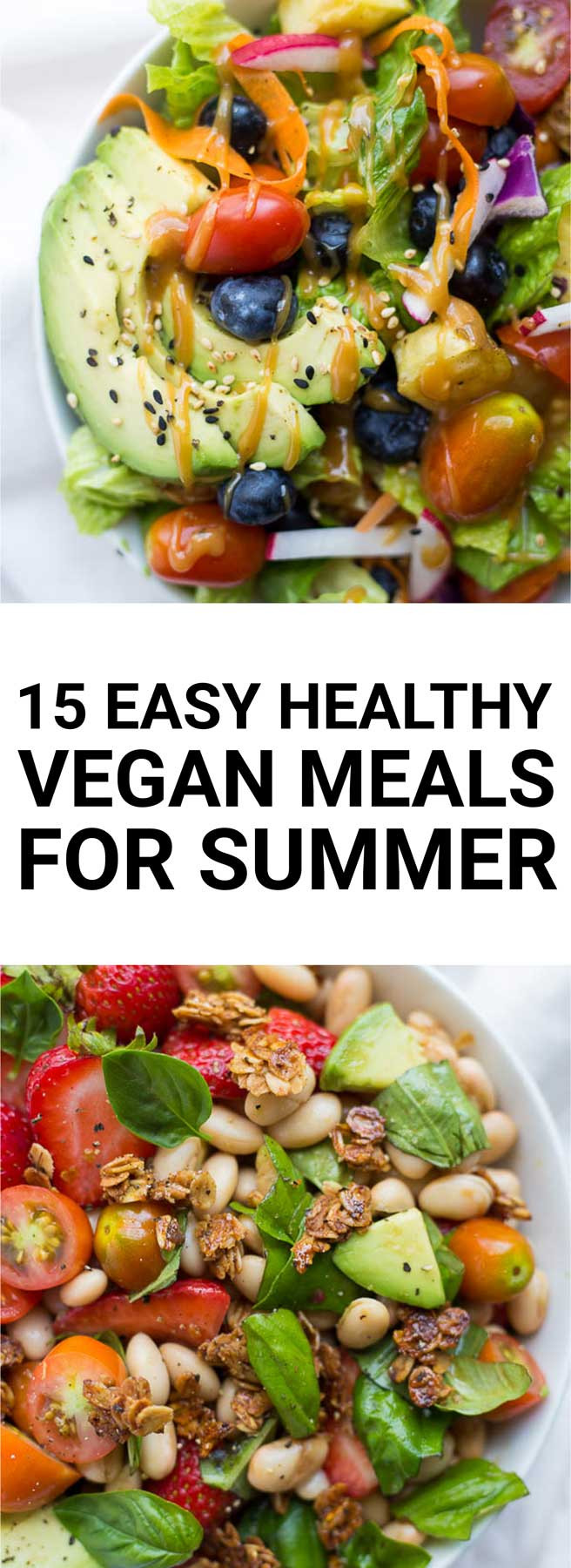 Simple Vegan Recipes
 15 Easy Healthy Vegan Meals for Summer Fooduzzi