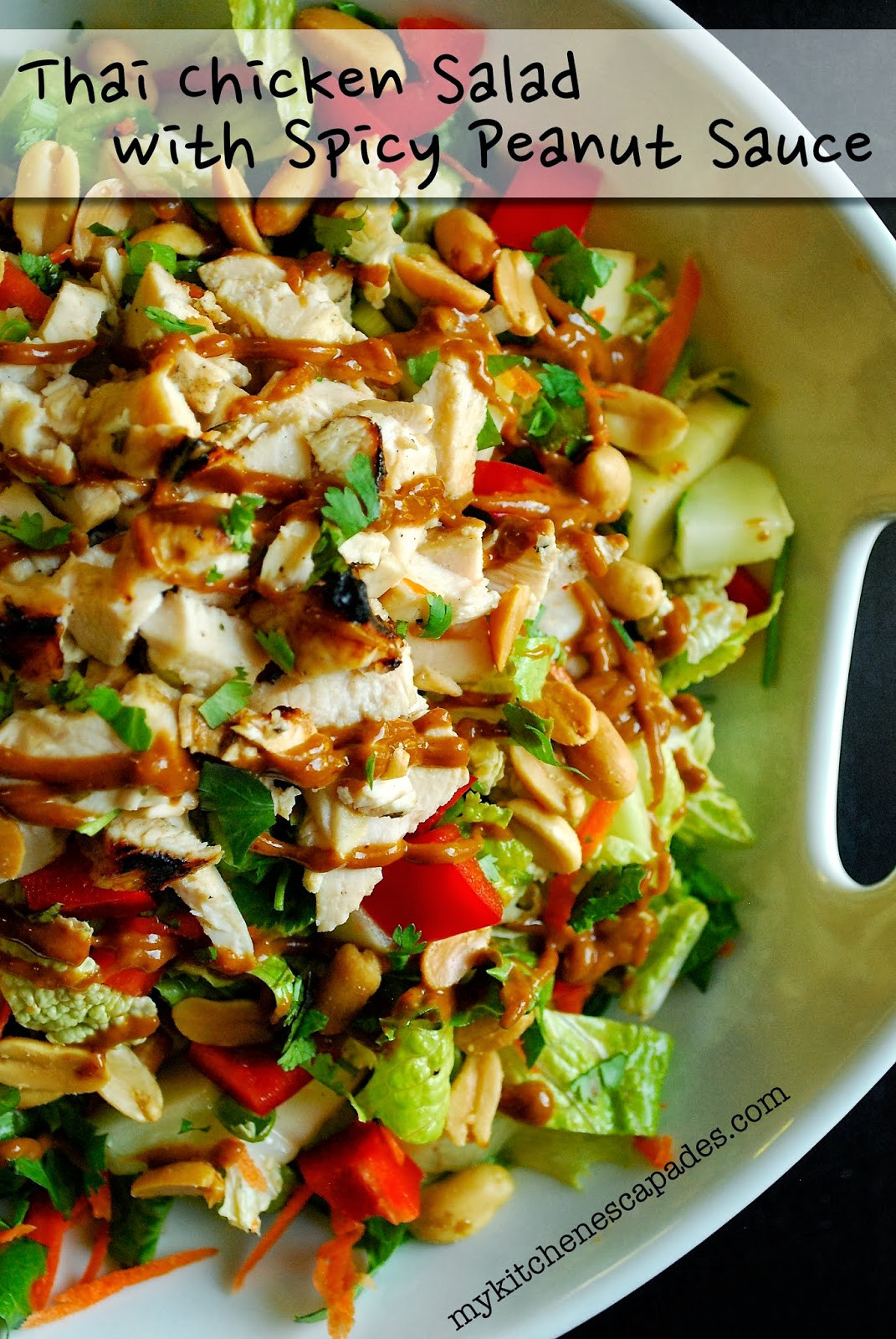 Spicy Chicken Salad Recipe
 Healthy Thai Chicken Salad with Spicy Thai Peanut Sauce