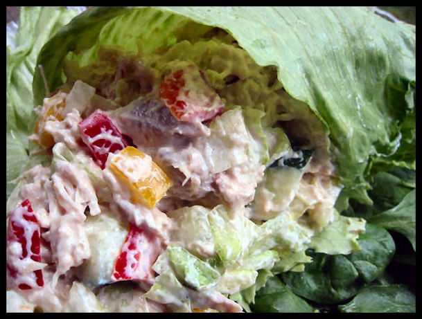Spicy Chicken Salad Recipe
 Spicy Chicken Salad Recipe Food