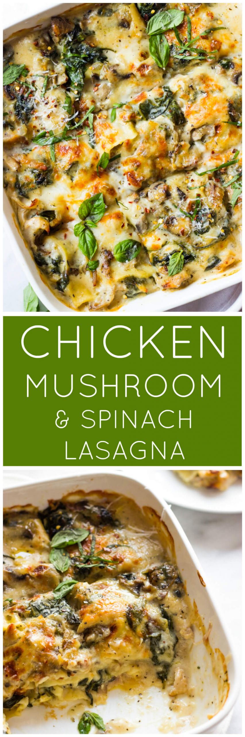Spinach Mushroom Lasagna
 chicken spinach lasagna