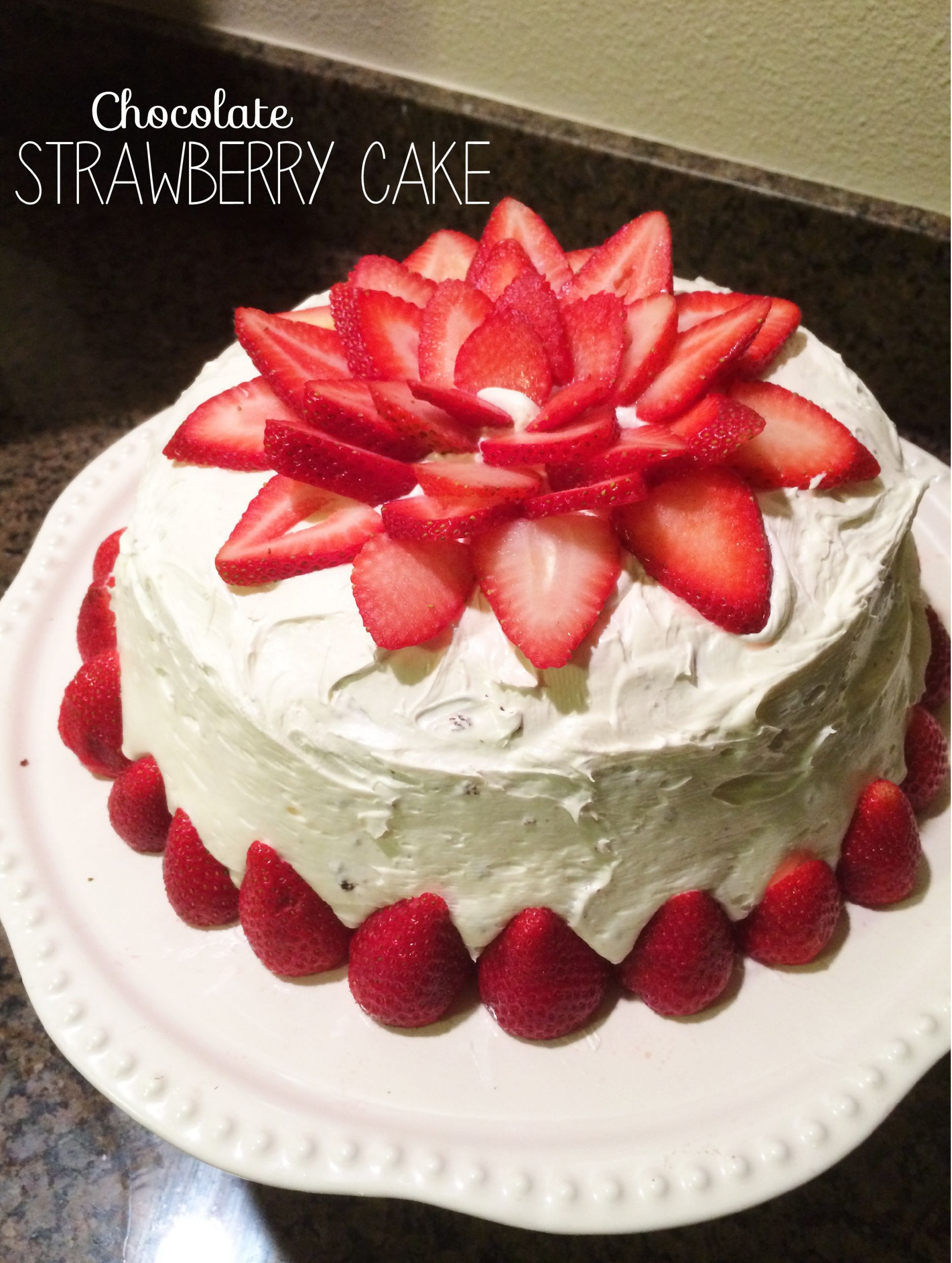 Strawberry Cake Decoration New Chocolate Strawberry Cake – the Sara Project
