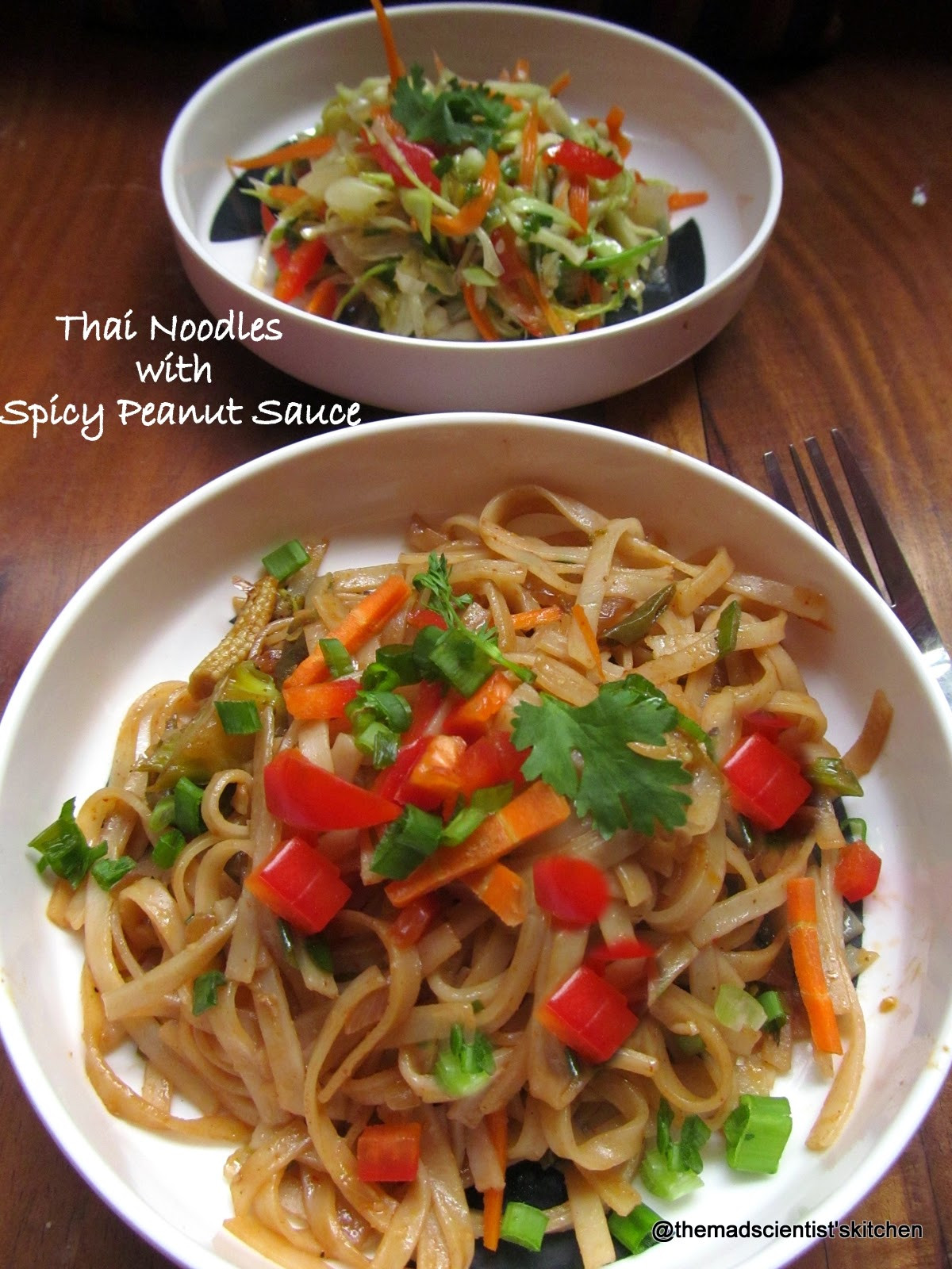 Thai Noodles With Peanut Sauce
 The Mad Scientist s Kitchen Thai Noodles with Spicy