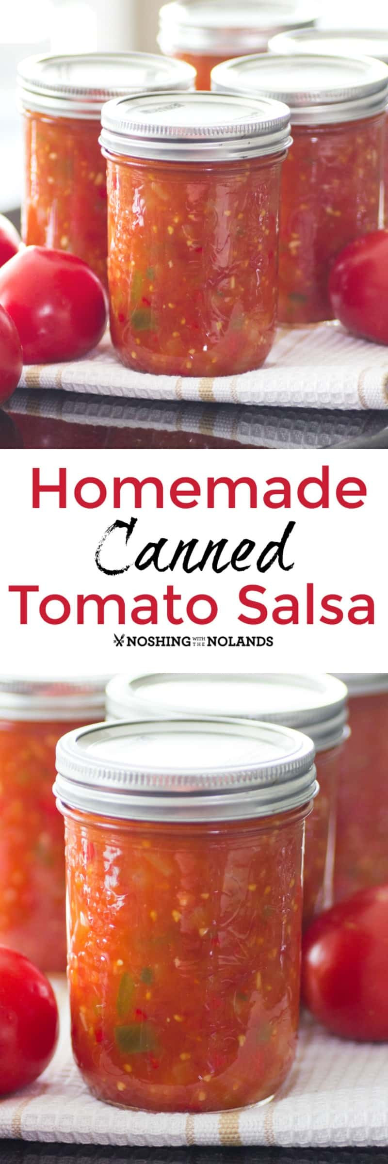 Tomato Salsa Recipe For Canning
 Homemade Canned Tomato Salsa is the best with fresh summer