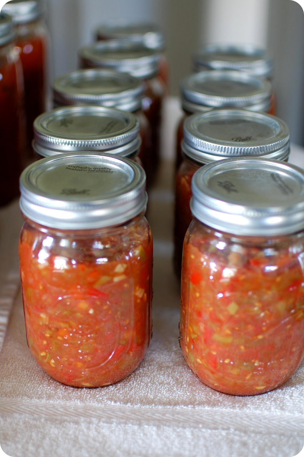 Tomato Salsa Recipe For Canning
 33 Shades of Green Canning Salsa and Tomato Sauce