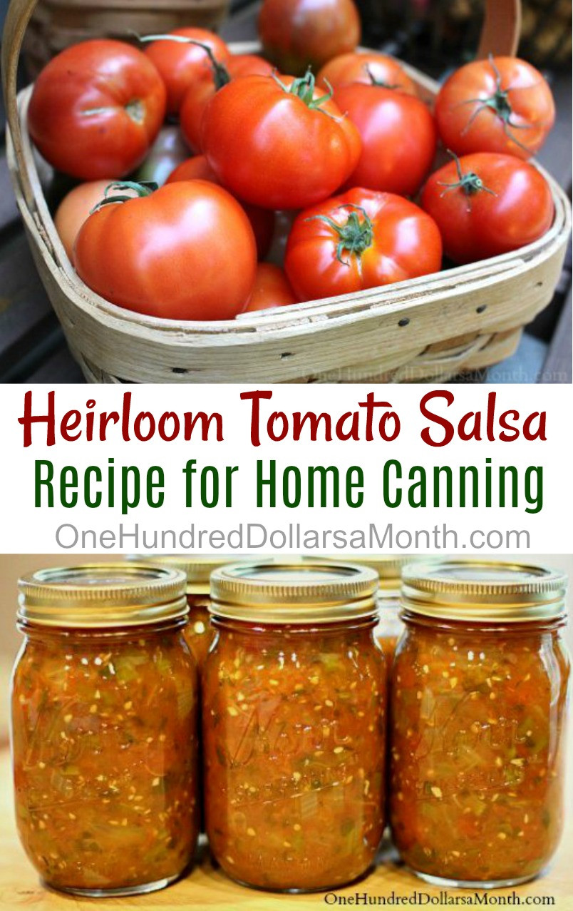 Tomato Salsa Recipe For Canning
 Canning 101 Heirloom Tomato Salsa Recipe e Hundred