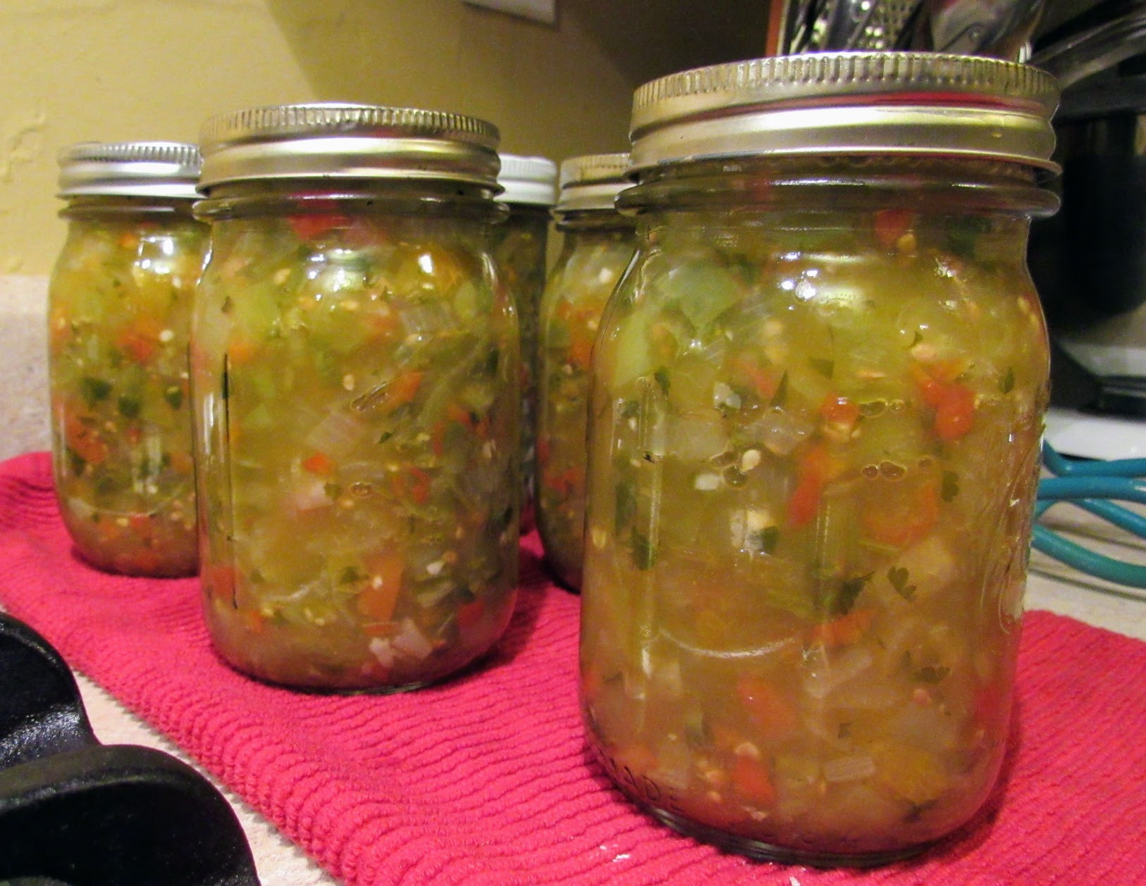 Tomato Salsa Recipe For Canning
 Green Tomato Salsa Canning Recipe Kimversations