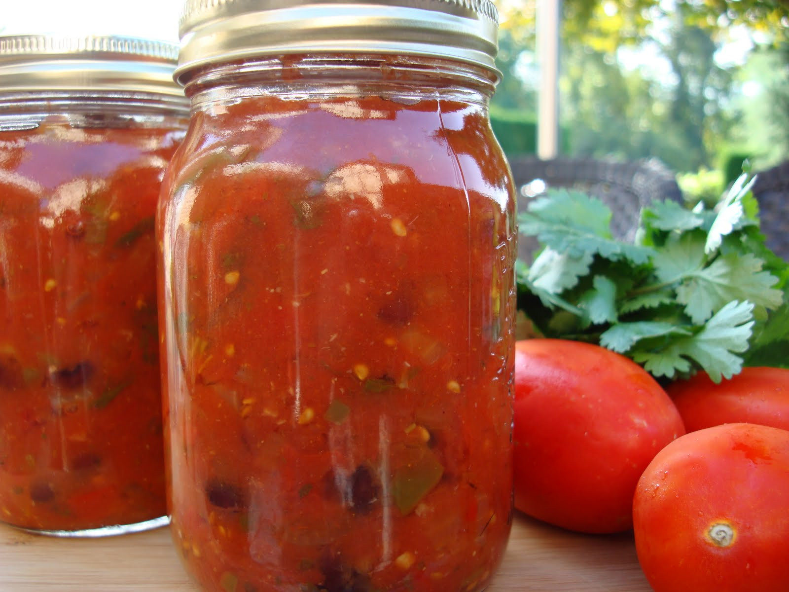 Tomato Salsa Recipe For Canning
 Mennonite Girls Can Cook Canned Tomato Salsa