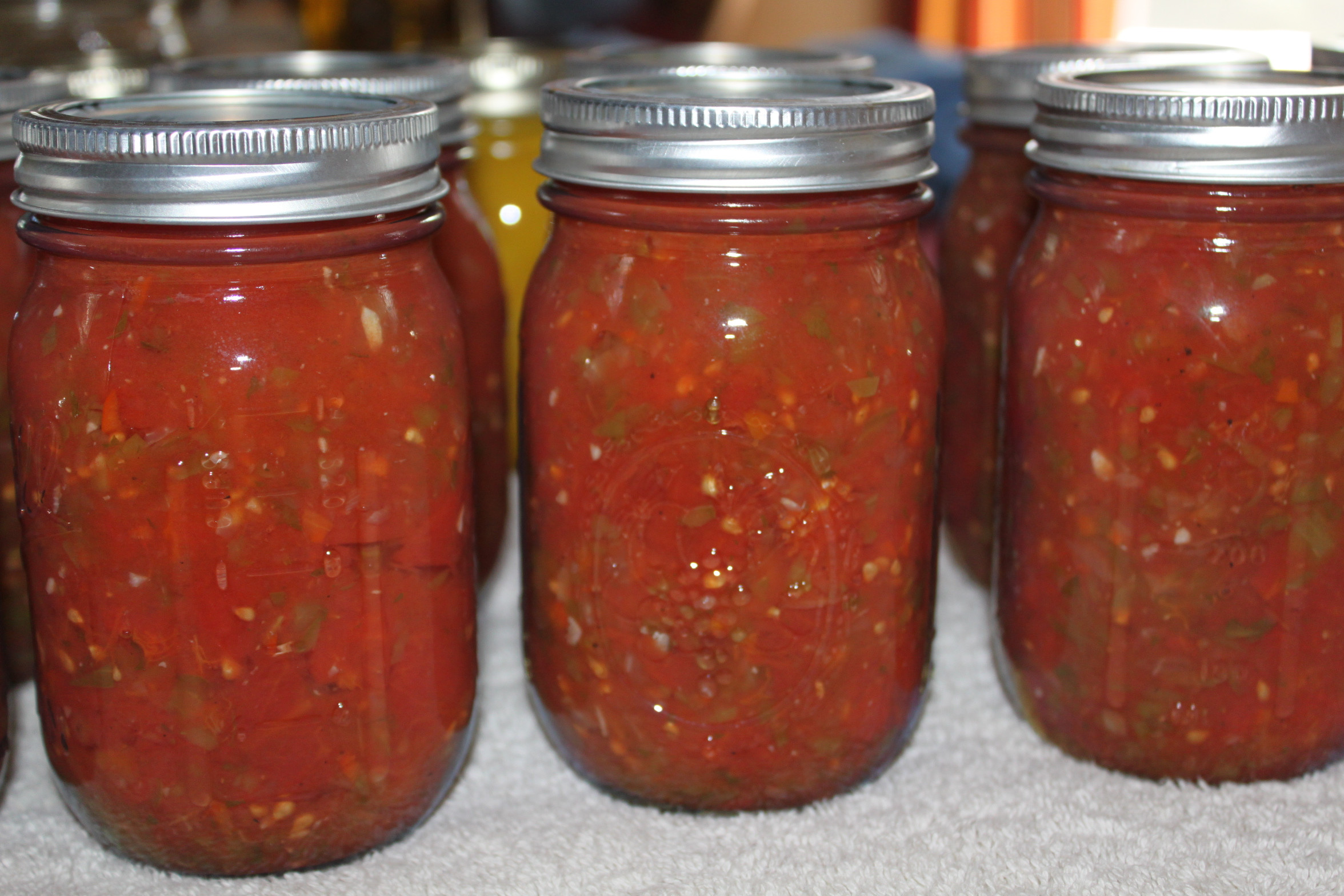 Tomato Salsa Recipe For Canning
 Canned Tomato Salsa Recipe — Dishmaps