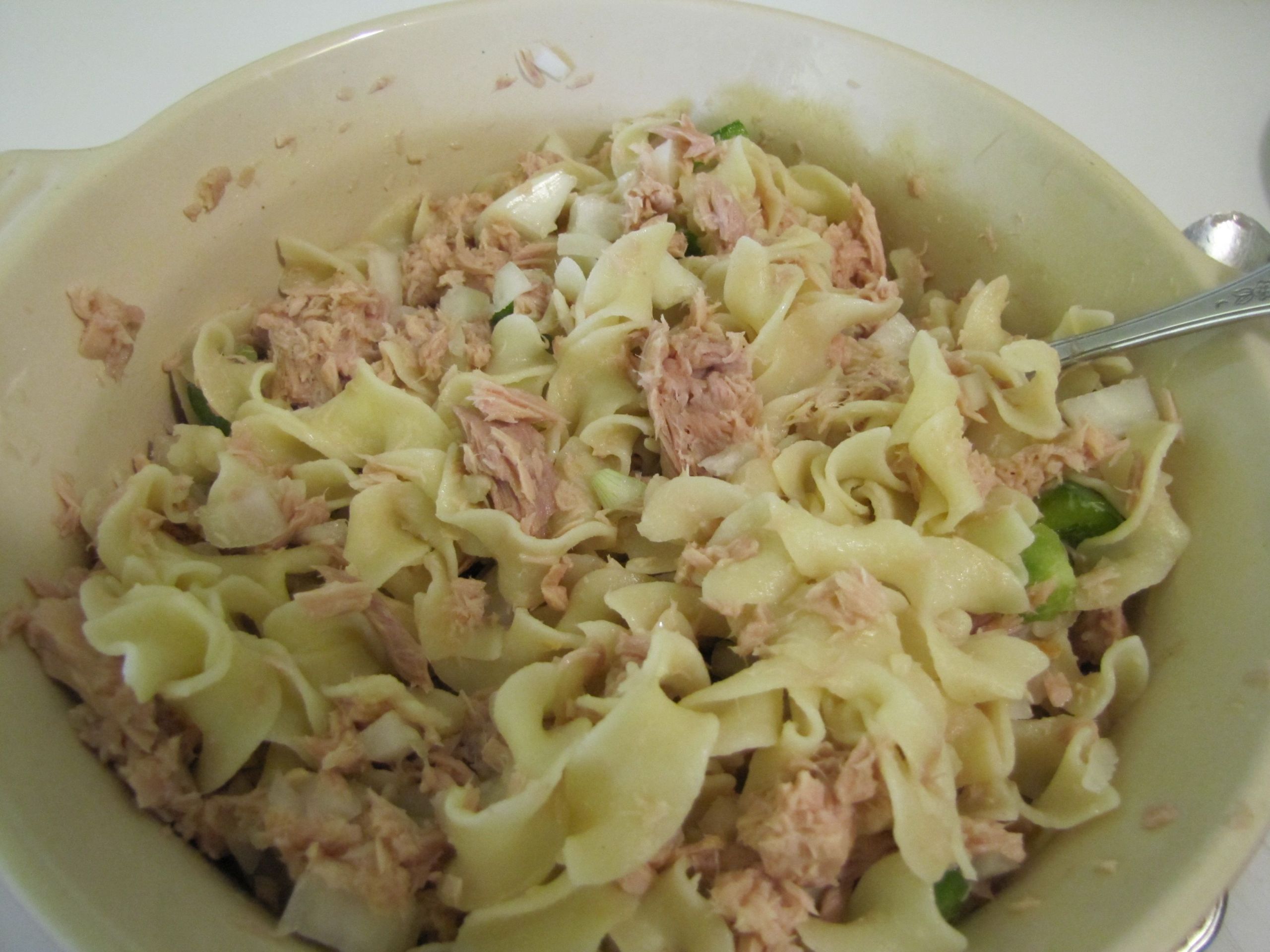 Tuna Casserole Recipe Cream Of Mushroom
 tuna casserole recipes with cream of mushroom