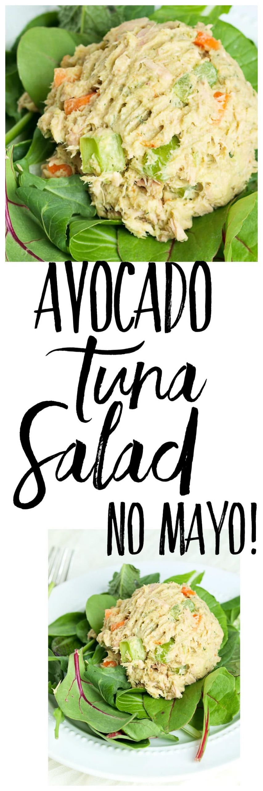 Tuna Fish Recipes Without Mayonnaise
 Avocado Tuna Salad No Mayo Happy Healthy Mama
