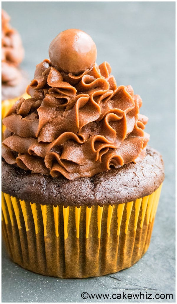 Vegan Cupcake Recipes
 Vegan Chocolate Cupcakes CakeWhiz