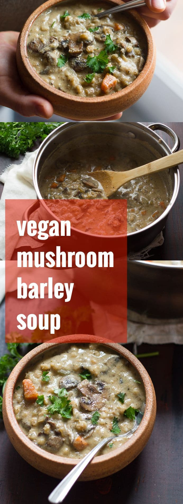Vegan Mushroom Barley Soup
 Creamy Vegan Mushroom Barley Soup Connoisseurus Veg