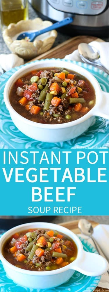 Vegetable Beef Soup Instant Pot
 Instant Pot Ve able Beef Soup – That s What Che Said