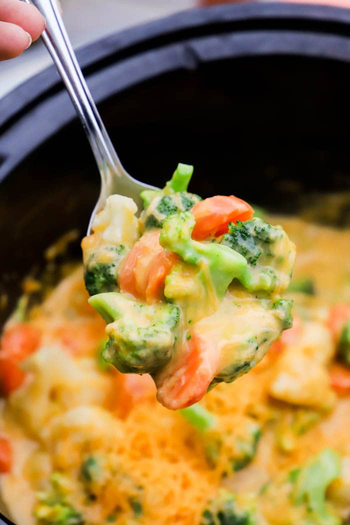 Vegetable Casserole Side Dishes
 Slow Cooker Cheesy Ve able Casserole • The Diary of a