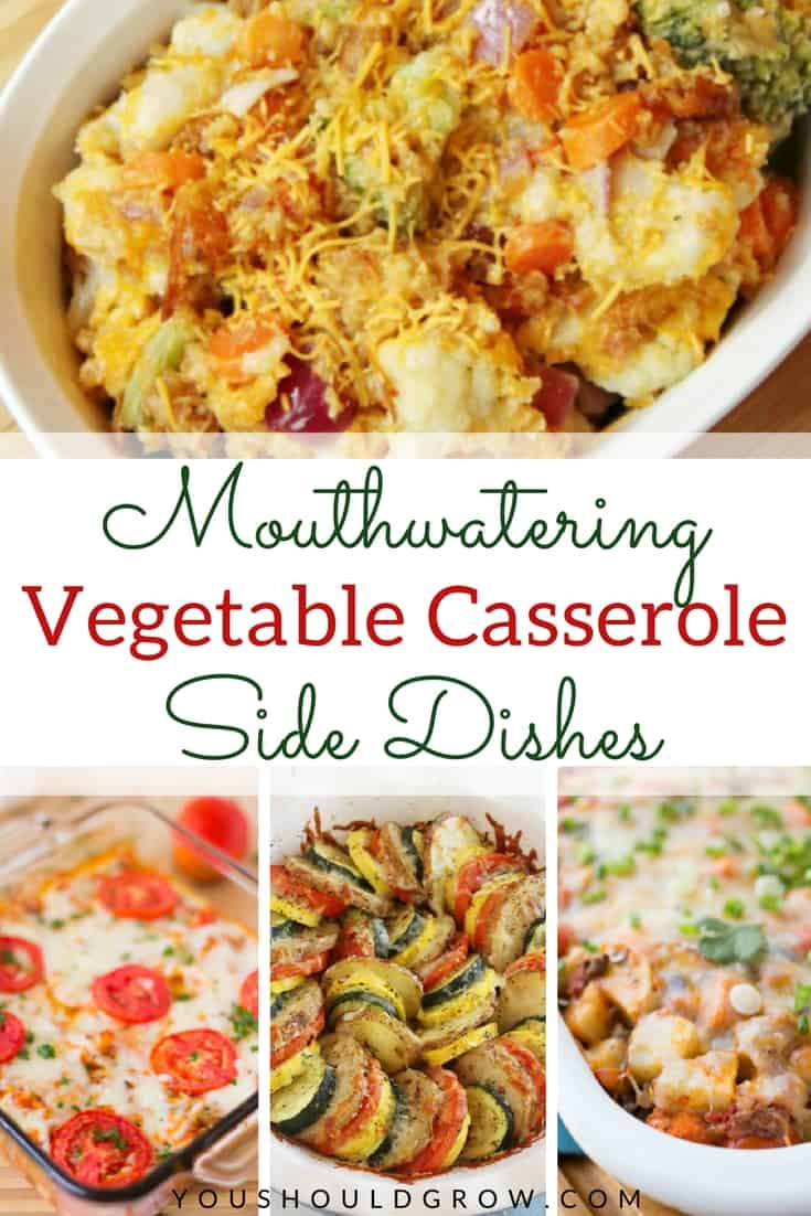 Vegetable Casserole Side Dishes
 Mouthwatering Ve able Casserole Side Dishes