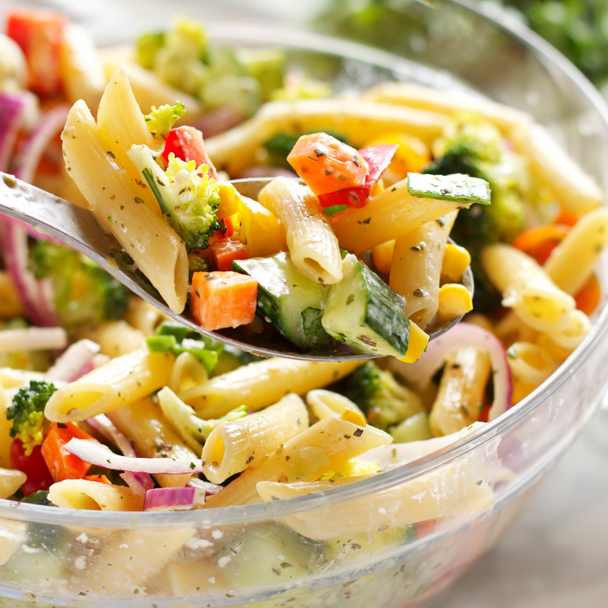Vegetable Pasta Salad Recipes
 Rainbow Ve able Pasta Salad with Creamy Italian Herb