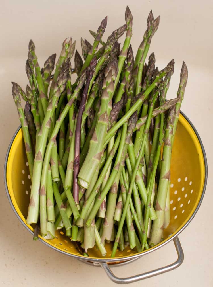 Vegetarian Asparagus Recipe
 Curried Vegan Asparagus Soup Recipe to warm your soul