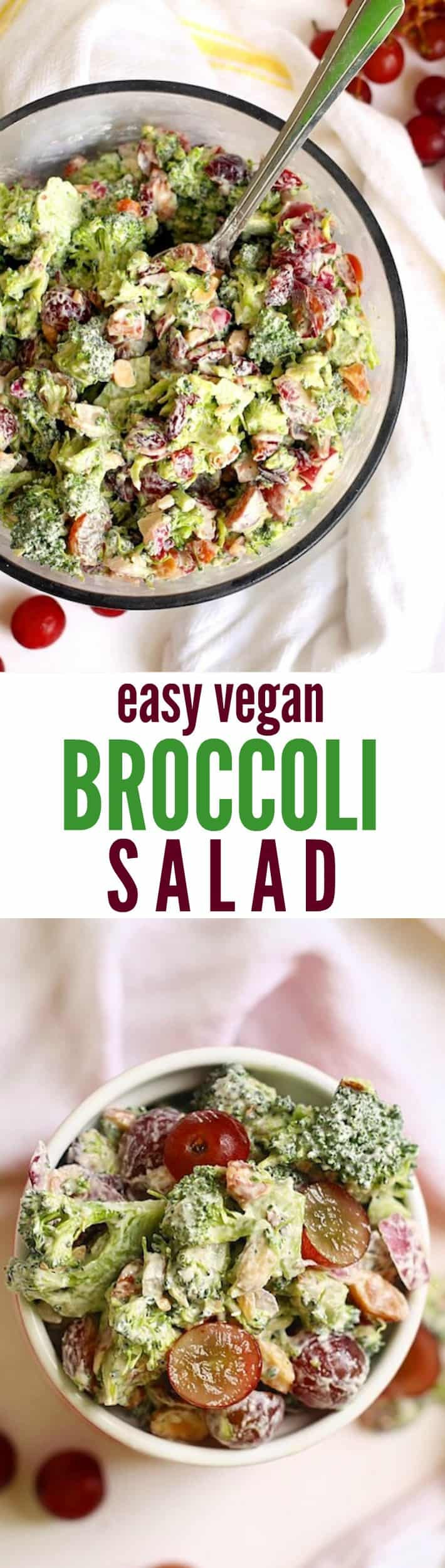 Vegetarian Broccoli Salad
 The Best Vegan Broccoli Salad Ever Hummusapien
