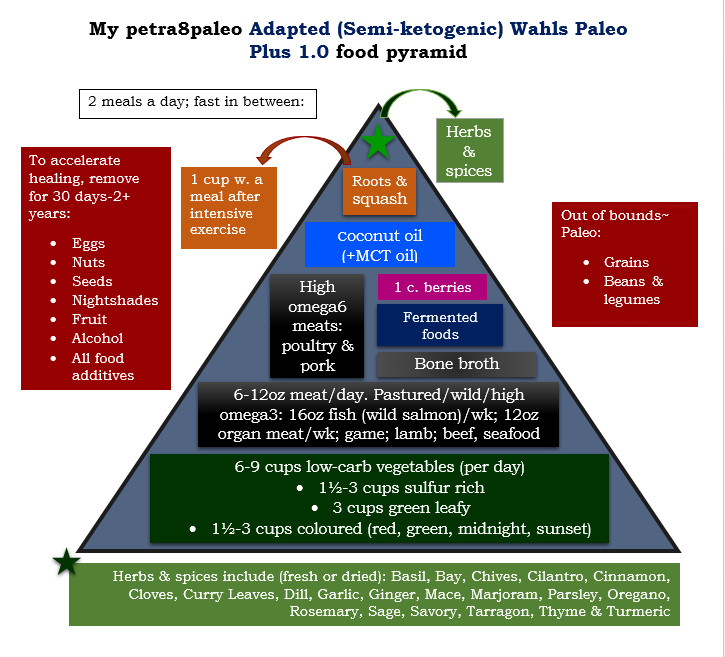 Wahls Paleo Diet
 An Adapted semi ketogenic version of the Wahls Paleo