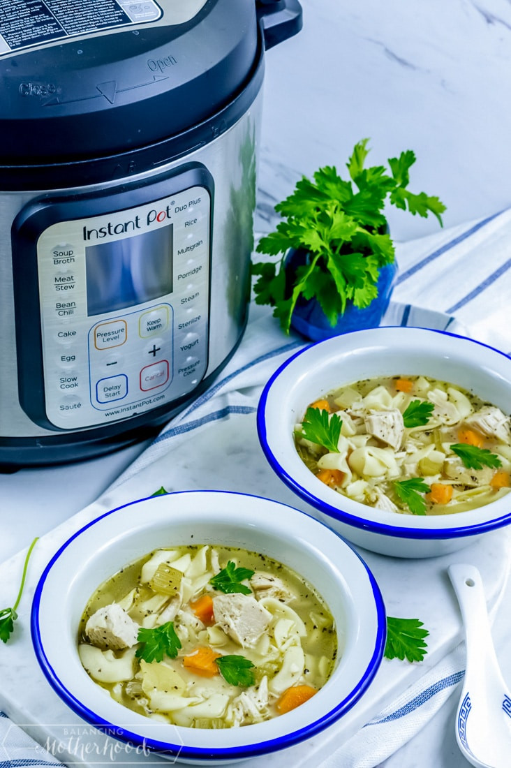 Whole Chicken Soup Instant Pot
 Instant Pot Chicken Noodle Soup with Frozen Chicken