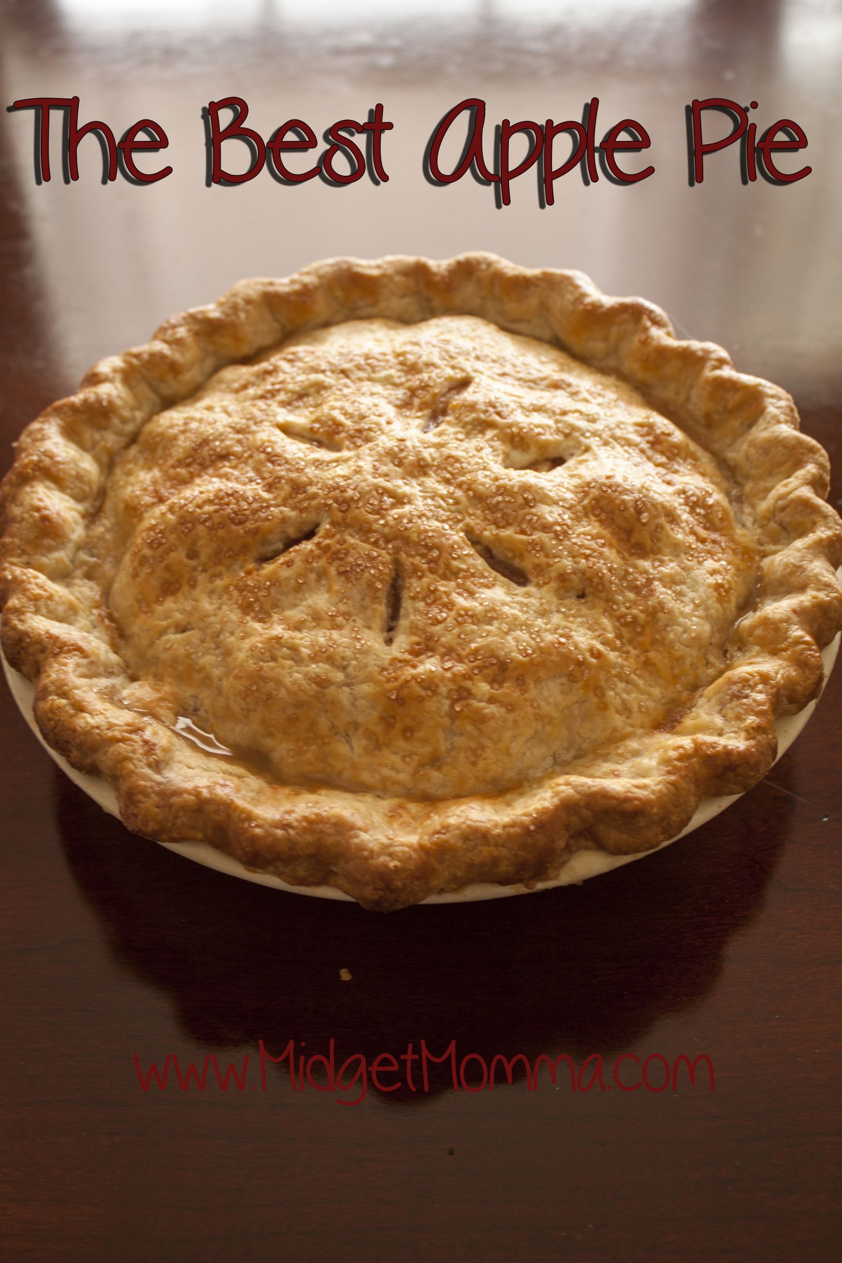 World'S Best Apple Pie
 The Best Apple Pie Easy Apple Pie Recipe