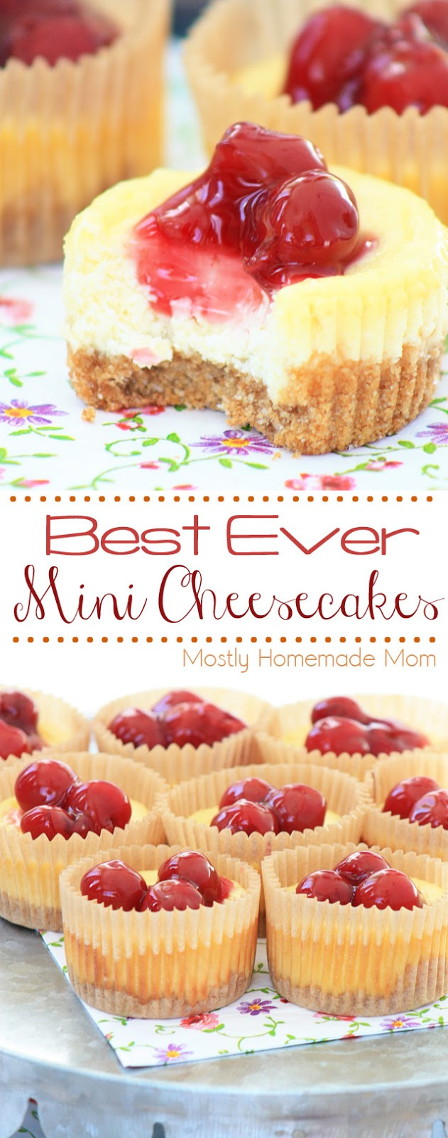 Best Mini Cheesecake Recipe
 Best Ever Mini Cheesecakes VIDEO post