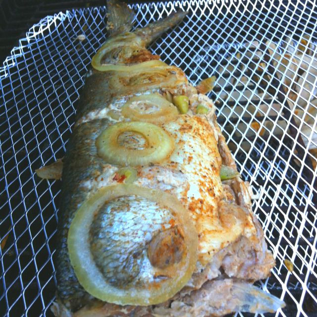 Blue Fish Recipes
 Blue Fish on the Grill