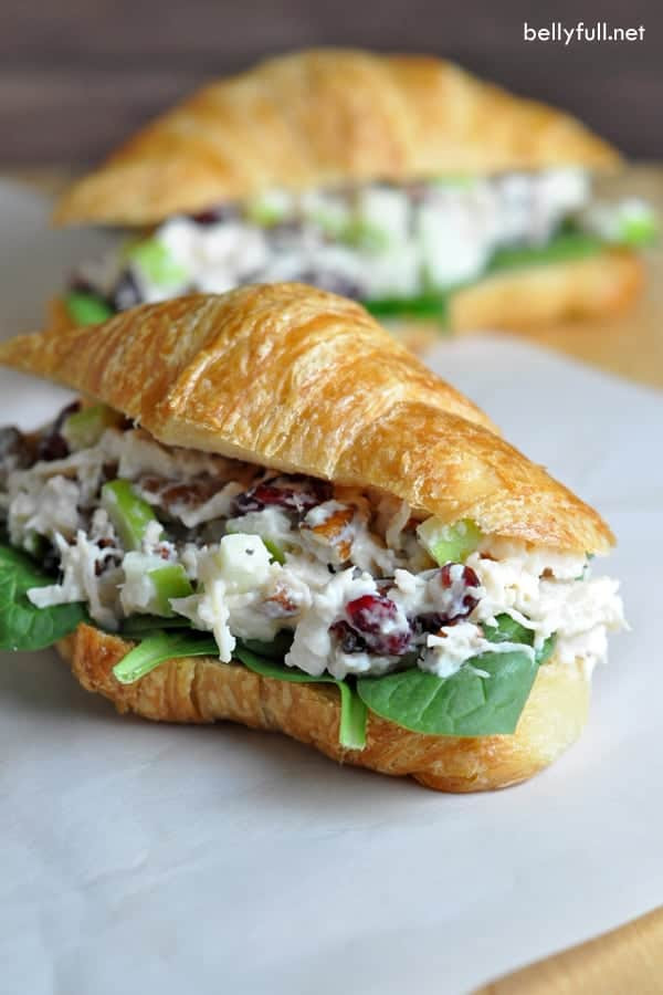 Chicken Salad Recipe With Apples
 Chicken Salad Sandwich with Cranberries Apples and Pecans