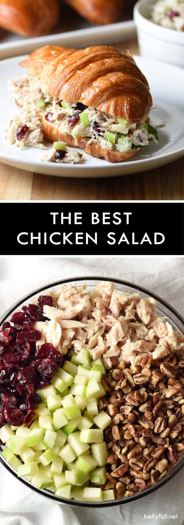 Chicken Salad Recipe With Apples
 The Best Chicken Salad With Cranberries Apples and Pecans