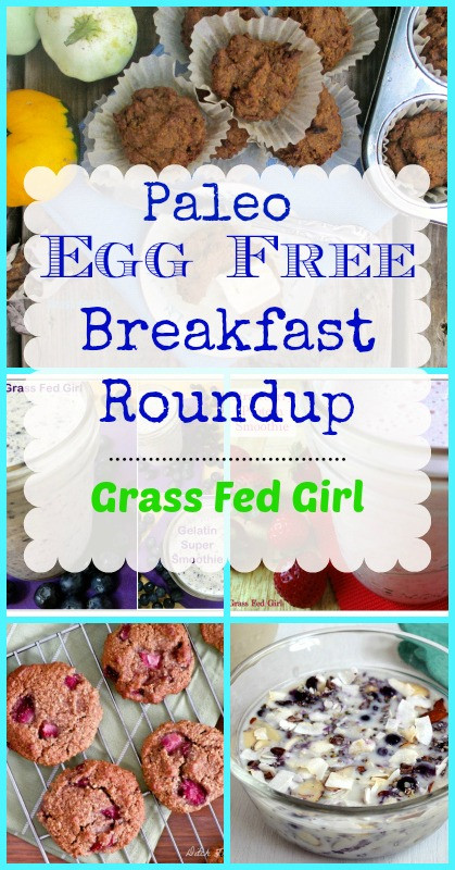 Dairy And Egg Free Breakfast Recipes
 Top 20 Egg Free Paleo Breakfast Ideas gluten free dairy
