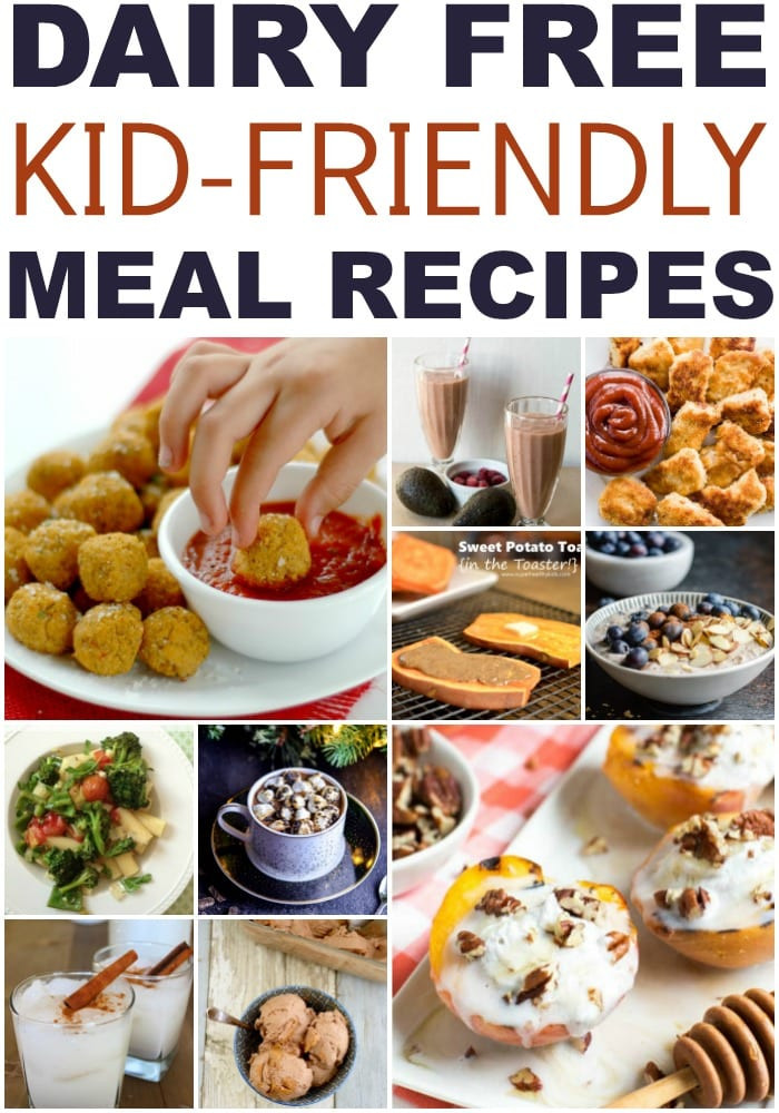 Dairy Free Dinner Ideas
 Dairy Free Kid Friendly Recipes for Every Meal
