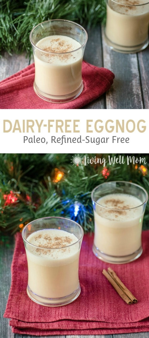 Dairy Free Eggnog Recipe Fresh Dairy Free Eggnog