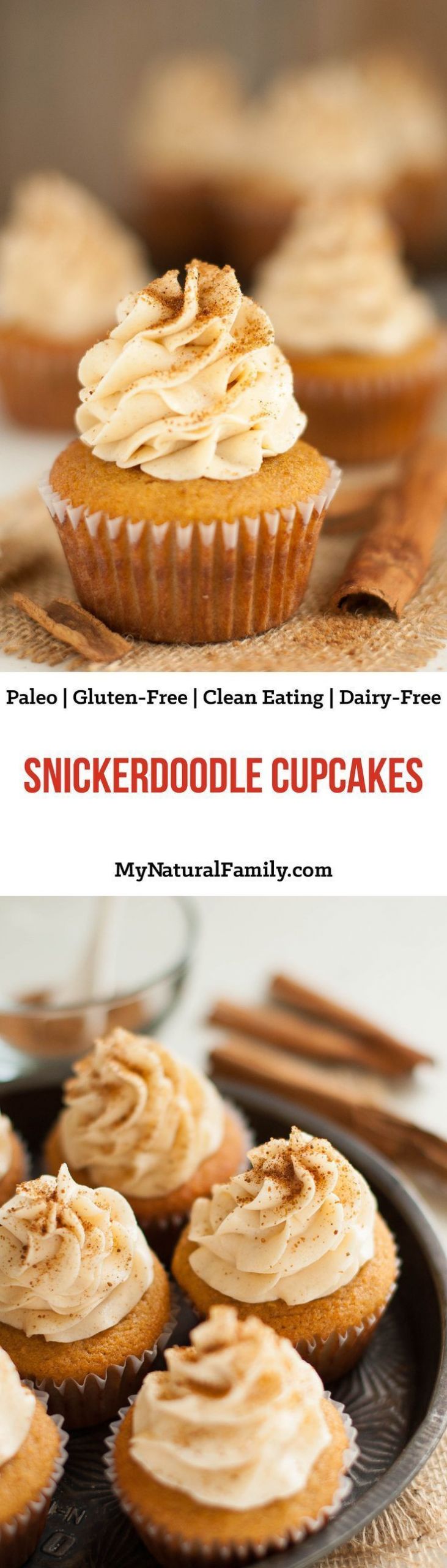 Paleo Cupcakes Recipe
 Snickerdoodle Paleo Cupcakes with Coconut Flour