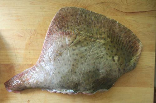 Skate Fish Recipes
 How to Cook Skate Fish