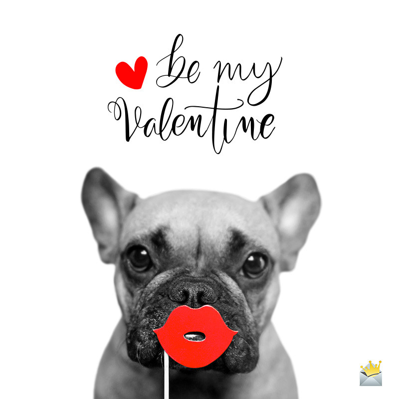 Stupid Valentines Day Quotes
 Funny Valentine s Day Quotes
