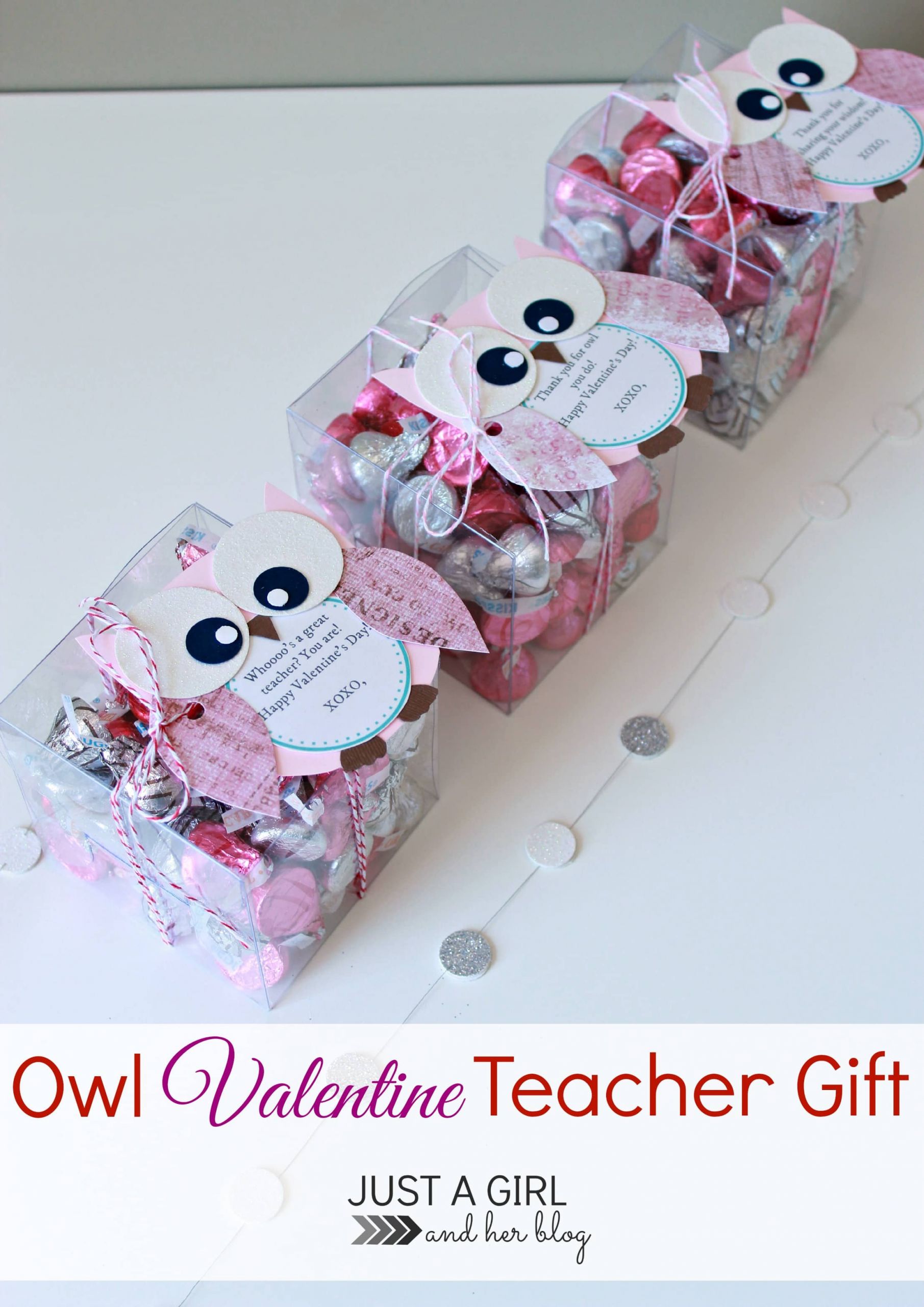 Valentine Gift Ideas For Teacher
 Owl Valentine Teacher Gift