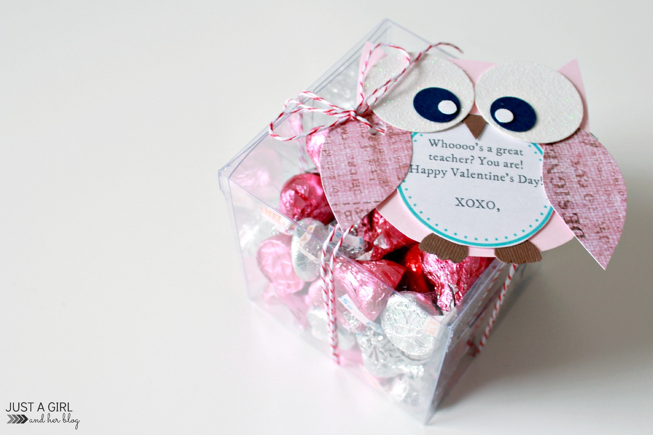 Valentines Teacher Gift Ideas
 Owl Valentine Teacher Gift