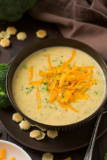 The Best Best Broccoli Cheese soup
