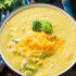 Best 20 Chicken Potato soup Crock Pot