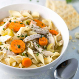20 Ideas for Chicken Noodle soup Recipe Slow Cooker