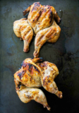 24 Ideas for Cornish Game Hens Recipes