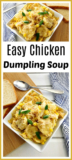 20 Ideas for Easy Chicken and Dumpling soup